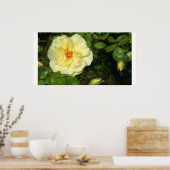 gele roos poster (Keuken)