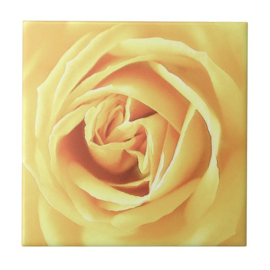 Gele roos print tegeltje (Voorkant)