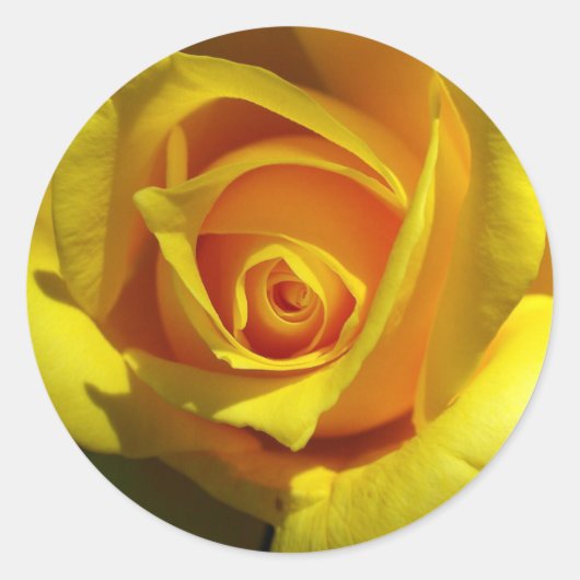 Gele Roos Sticker (Voorkant)