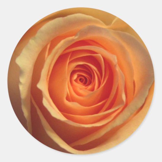 Gele Roos Sticker (Voorkant)