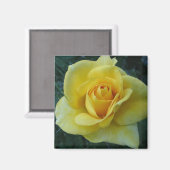 Gele Rose2 magneet (Voorkant / Achterkant)