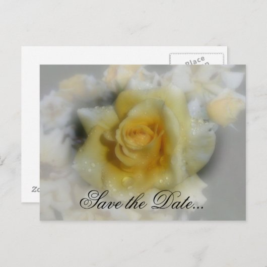 Gele Rose Aankondigingskaart (Voorkant / Achterkant)