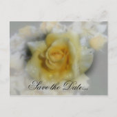 Gele Rose Aankondigingskaart (Voorkant)