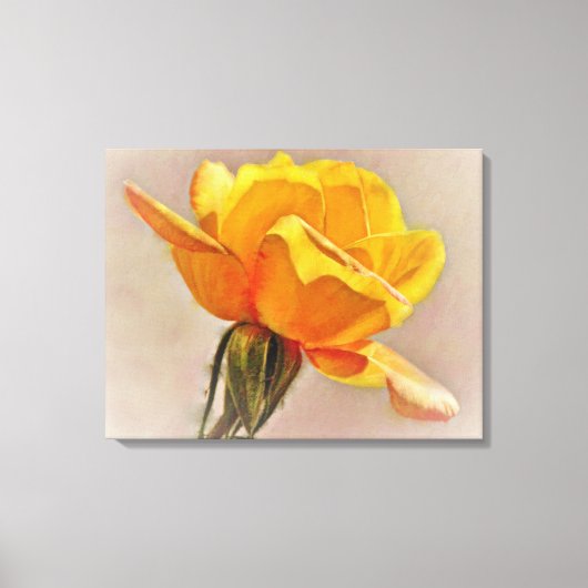 Gele Rose Bloem Kunst Canvas Print (Voorkant)