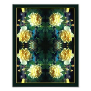 Gele Rose Bloem Paar Spiegel Abstract 8x10 Foto Afdruk