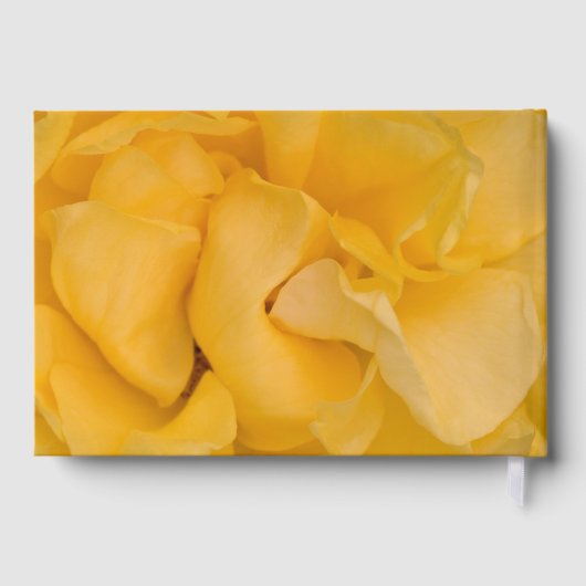 Gele Rose Bloem Viering van het Leven Memorial Gastenboek (Achterkant)