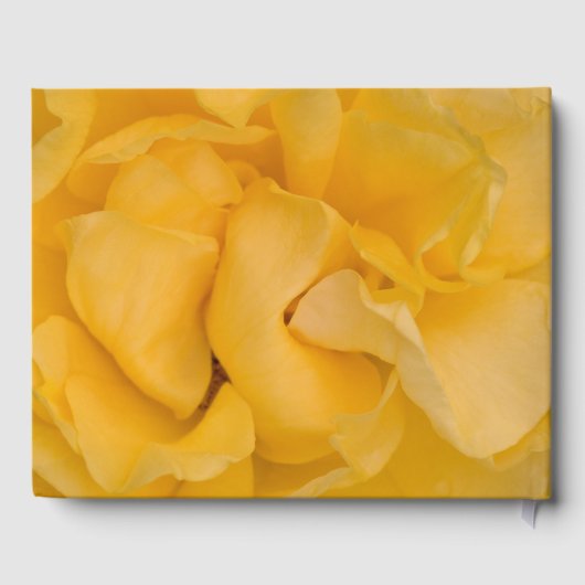 Gele Rose Bloem Viering van het Leven Memorial Gastenboek (Achterkant)