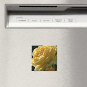 Gele Rose Bloemen 6 Magneet (Insitu (Vaatwasser))