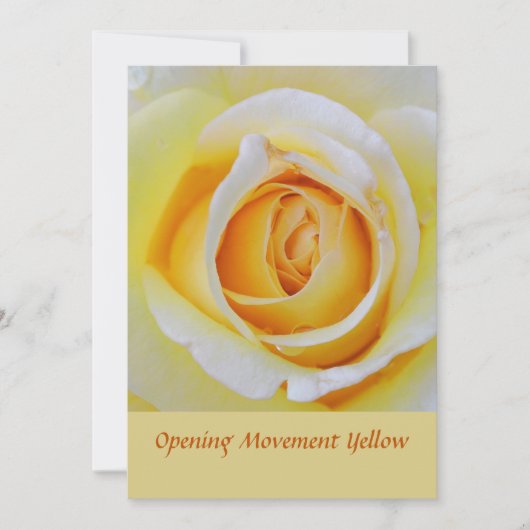 Gele Rose Bloemen Macro Foto Bedankkaart (Voorkant)