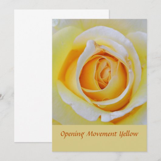 Gele Rose Bloemen Macro Foto Bedankkaart (Voorkant / Achterkant)