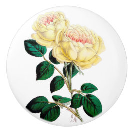 Gele Rose Bloom Ceramic Knob. Keramische Knop