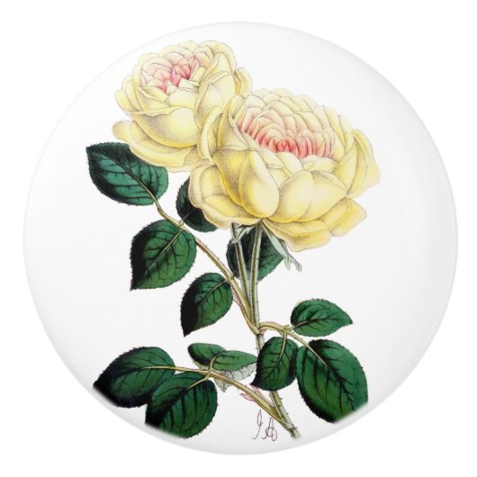 Gele Rose Bloom Ceramic Knob. Keramische Knop (Voorkant)