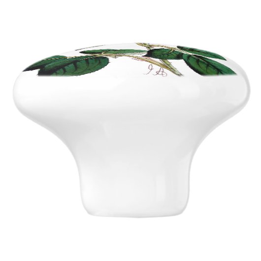 Gele Rose Bloom Ceramic Knob. Keramische Knop (Zijkant)