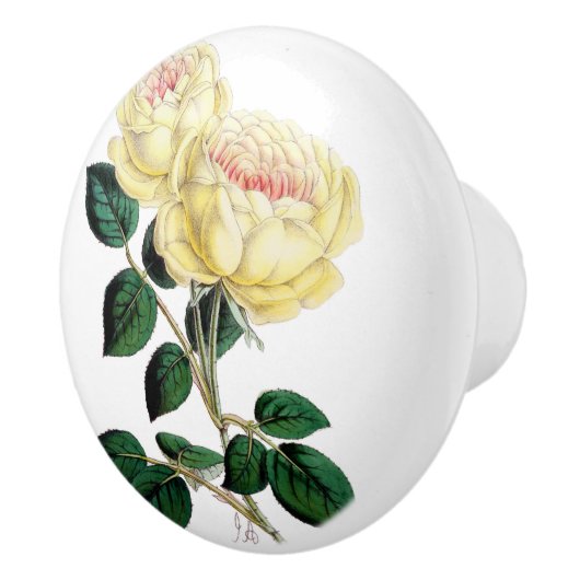 Gele Rose Bloom Ceramic Knob. Keramische Knop (Rechts)