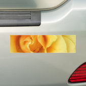 Gele Rose Blossom Bumpersticker (Op auto)