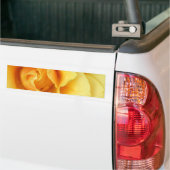 Gele Rose Blossom Bumpersticker (Op Truck)