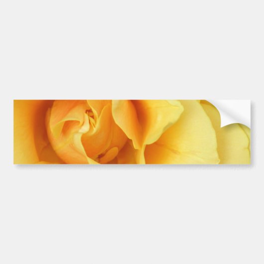Gele Rose Blossom Bumpersticker (Voorkant)