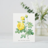 Gele Rose Botanische illustratie Briefkaart (Staand voorkant)