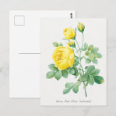  Gele Rose Botanische illustratie Briefkaart (Voorkant / Achterkant)