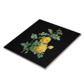 Gele Rose  botanische illustratie Tegeltje (Zijkant)