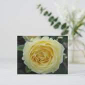 Gele Rose Briefkaart (Staand voorkant)