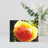 Gele Rose Briefkaart (Staand voorkant)