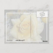 Gele Rose Briefkaart (Achterkant)