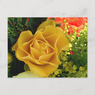Gele Rose   Briefkaart