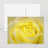 Gele Rose Briefkaart (Voorkant / Achterkant)