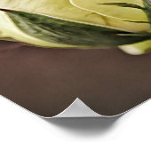 Gele Rose Bud Fotografische Art Print (Hoek)