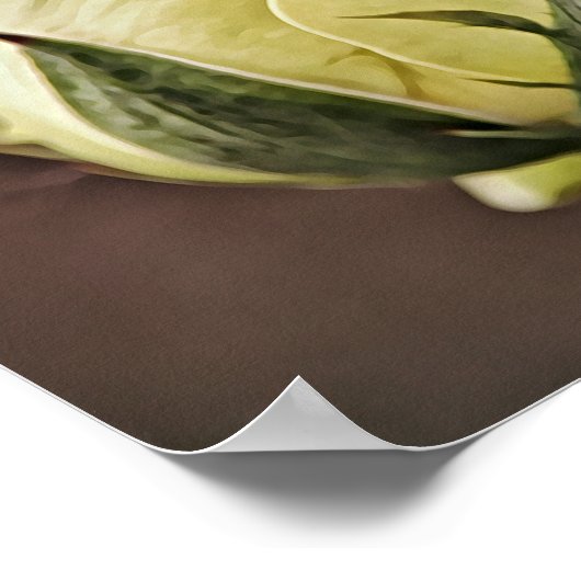 Gele Rose Bud Fotografische Art Print (Hoek)