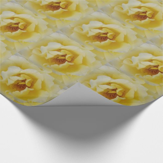 Gele Rose Cadeaupapier (Hoek)