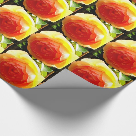 Gele Rose Cadeaupapier (Hoek)