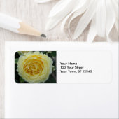 Gele Rose Etiket (Insitu)