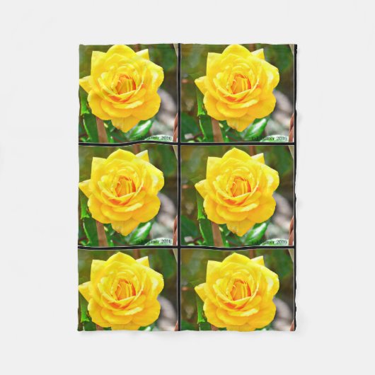 Gele Rose Fleece Blanket (Voorkant)