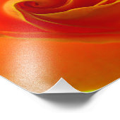 Gele Rose Foto Afdruk (Hoek)