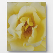 Gele Rose Fotoplaat (Voorkant)