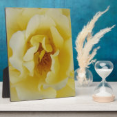 Gele Rose Fotoplaat (Zijkant)