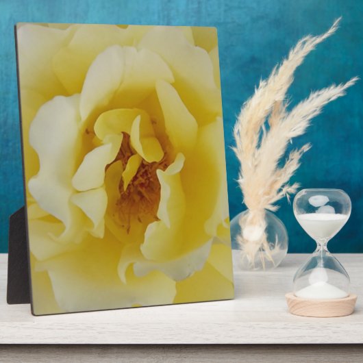 Gele Rose Fotoplaat (Zijkant)