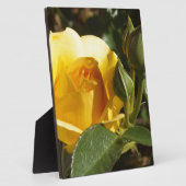 Gele Rose Fotoplaat (Zijkant)