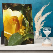 Gele Rose Fotoplaat (Zijkant)