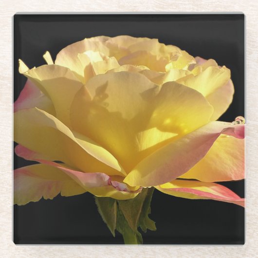 Gele Rose Glazen Onderzetter (Voorkant)