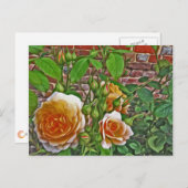 Gele Rose in Hampton Court Garden Briefkaart (Voorkant / Achterkant)