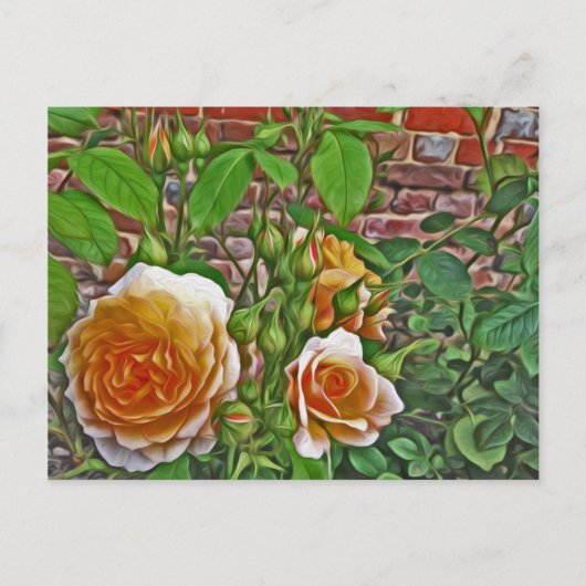 Gele Rose in Hampton Court Garden Briefkaart (Voorkant)