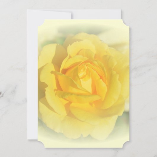 Gele Rose Kaart (Achterkant)