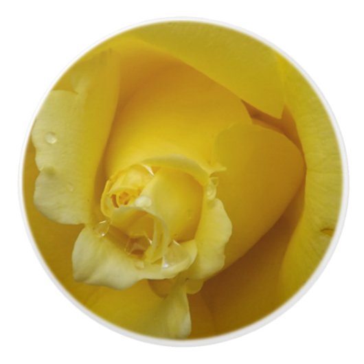 Gele Rose Keramische Pull Knop (Voorkant)