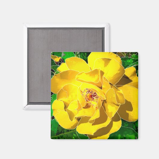 Gele Rose Magneet (Voorkant / Achterkant)