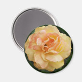 Gele Rose Magneet (Voorkant / Achterkant)