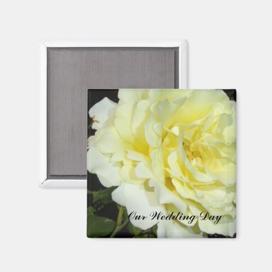 Gele Rose Magneet (Voorkant / Achterkant)