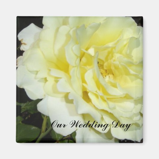 Gele Rose Magneet (Voorkant)